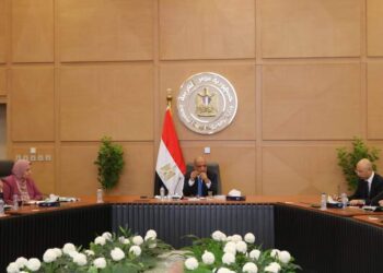 وزارة الكهرباء : نستهدف مواجهة التعدى على التيار الكهربائي وسرقته