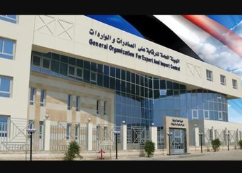أبرز المعلومات عن نظام المخاطر المتكامل لتطوير الجمارك المصرية 