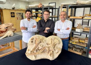 مصر تدخل موسوعة جينيس للأرقام القياسية بحفرية عمرها ٤١ مليون سنة