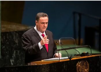 حفل نانسي عجرم في مصر رغم الحرب على لبنان .. تفاصيل