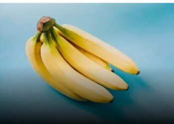 تناول الموز بين الفائدة الغذائية والمحاذير الصحية