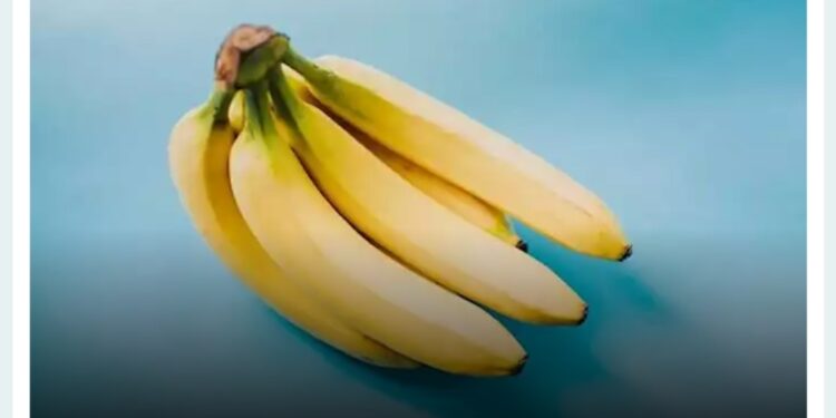 تناول الموز بين الفائدة الغذائية والمحاذير الصحية