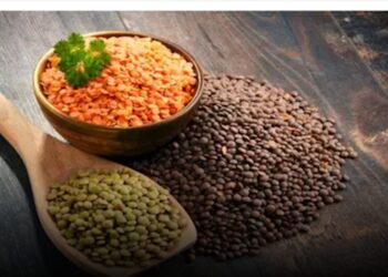 كيف يساعد العدس على تقديم فوائد مذهلة لشعر صحي وناعم؟