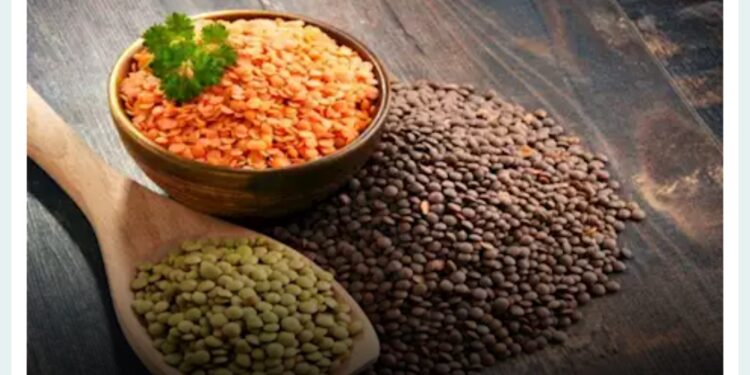 كيف يساعد العدس على تقديم فوائد مذهلة لشعر صحي وناعم؟