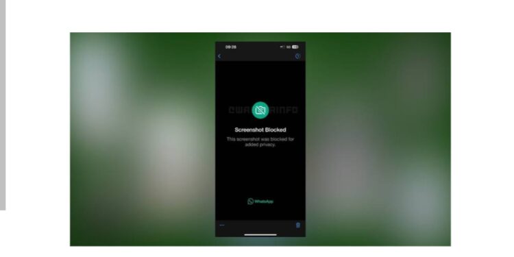 خبير أمن المعلومات : سكرين شوت تهديد متزايد للخصوصية والمجتمع