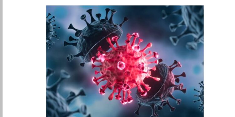 متحور XEC : تحذيرات جديدة وانتشار متزايد في عدة دول