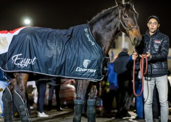 مصر تعود إلى الظهور الدولي في منافسات الفروسية .. تفاصيل