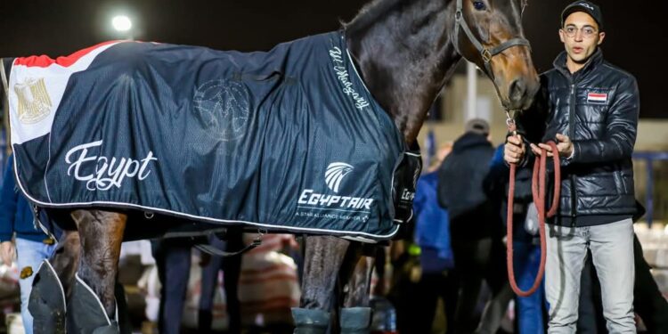 مصر تعود إلى الظهور الدولي في منافسات الفروسية .. تفاصيل