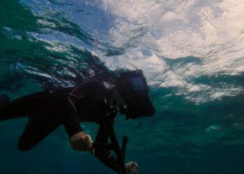 سامسونج وSeatrees شراكة مبتكرة لتعزيز استدامة المحيطات