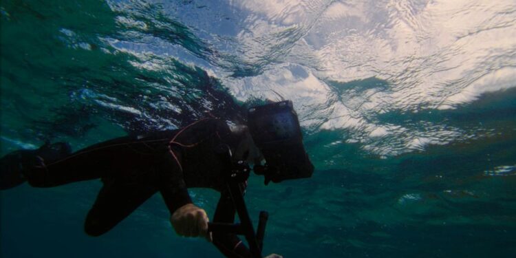سامسونج وSeatrees شراكة مبتكرة لتعزيز استدامة المحيطات