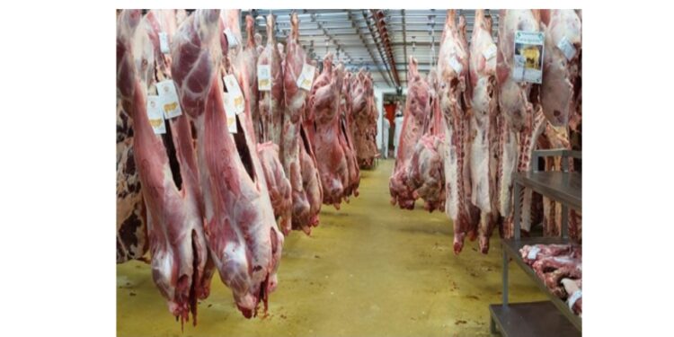  ارتفاع مفاجئ بأسعار اللحوم العالمية بعد انخفاضها 3 شهور.. ما القصة؟  