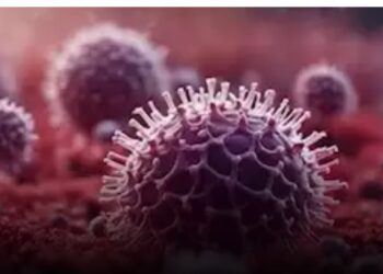 تعليمات جديدة لتنظيم الإفراج عن سيارات المعاقين .. ماذا فعلت وزارة المالية؟