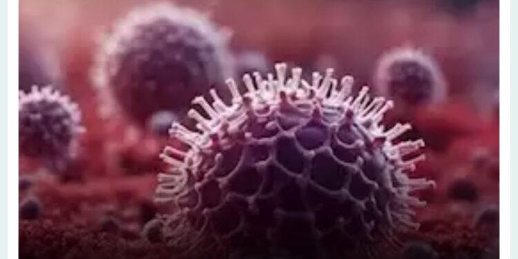 تعليمات جديدة لتنظيم الإفراج عن سيارات المعاقين .. ماذا فعلت وزارة المالية؟