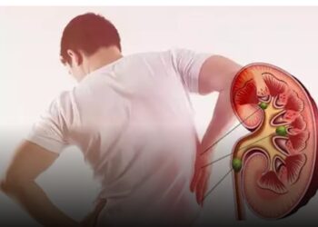 كيف يدعم قرار الرقابة المالية بالتعامل الجزئي مع المطورين العقاريين السوق المصرية؟