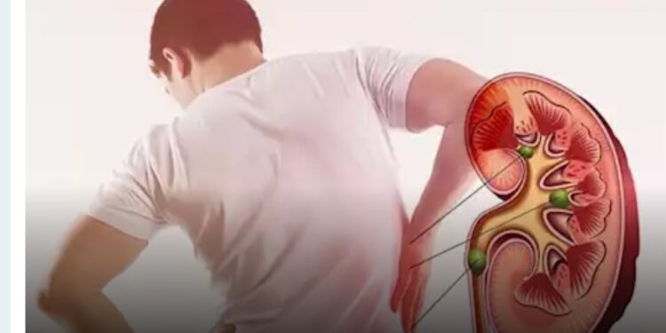 كيف يدعم قرار الرقابة المالية بالتعامل الجزئي مع المطورين العقاريين السوق المصرية؟