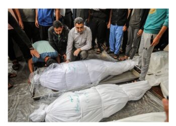 إبادة غزة في احصائيات وأرقام