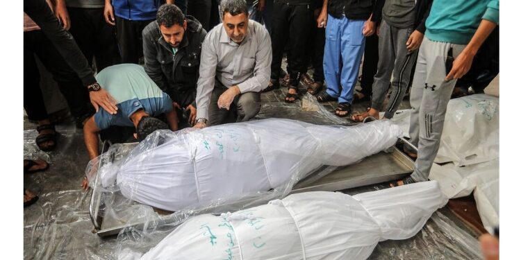 إبادة غزة في احصائيات وأرقام