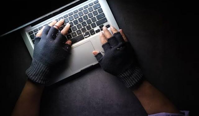 كاسبرسكي: أمن الشبكات في طليعة الحوادث التي واجهتها الشركات في مصر بنسبة 81%