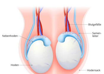 طفرة علمية ناجحة في عقم الذكور  .. تفاصيل
