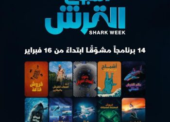 الشرق ديسكفري تعرض برامج “أسبوع القرش” مجانا باللغة العربية مع تجربة استثنائية يقدّمها “جون سينا”