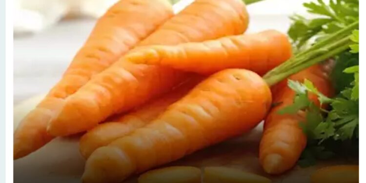 أضرار تناول الجزر بكميات كبيرة .. تعرف عليها