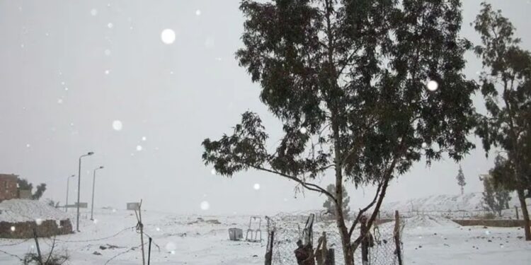 تأثير الدوامة القطبية على تشكيل العاصفة الشتوية القوية