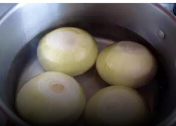 فوائد ماء البصل المغلي .. كل ما تريد معرفته عنه
