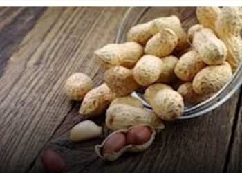 تعاون اورنچ وهواوي لإطلاق خدمات SD-WAN لأول مرة في مصر.. ما القصة؟