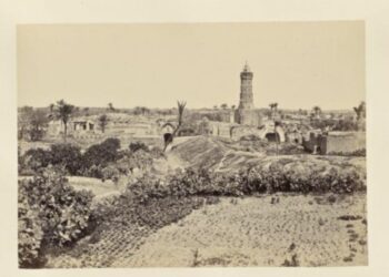 غزة: مدينة التاريخ العريق التي تحدت الزمن رحلة عبر أعماق التراث والحضارة