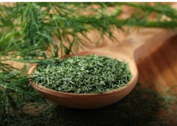 آية سماحة تكشف تأثير انفصال والديها على حياتها الفنية