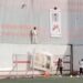 خبير قانوني : زيزو بإمكانه استغلال مقاطع دهس صوره بالأقدام و مقاضاة الزمالك