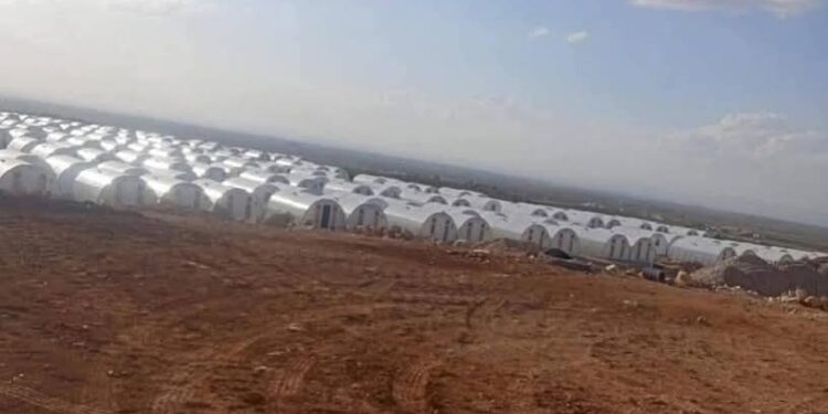 هل تسمح سوريا بتهجير الفلسطينيين إلى مخيمات ريف حلب الشمالي؟
