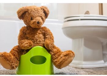 لماذا الدباديب أكثر تلوثاً من المراحيض؟