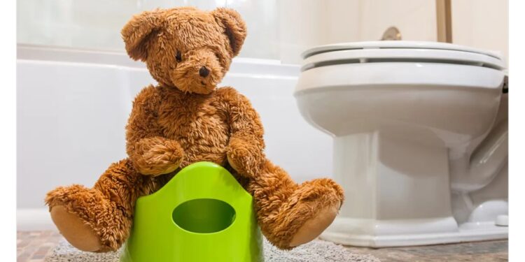 لماذا الدباديب أكثر تلوثاً من المراحيض؟