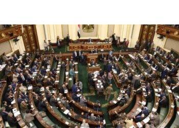 النباشين ظاهرة تهدد المجتمع المصري .. ما القصة؟