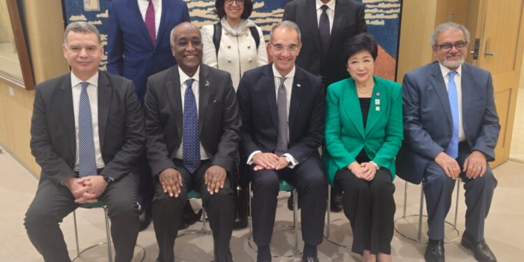  وزير الاتصالات يبحث مع نظيره اليابانى التعاون فى مجالات الذكاء الاصطناعى والأمن السيبرانى والخدمات البريدية