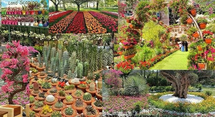 وزارة الزراعة : تمديد معرض “زهور الربيع” حتى نهاية شهر مايو الجاري