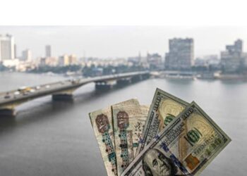 ما هو تأثير الديون الخارجية على سعر الدولار في مصر؟ ودور الاستثمار في ذلك