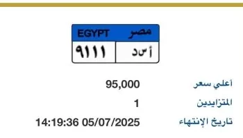 بوابة مرور مصر تطرح لوحة أسد – 9111، بالمزاد الإلكتروني| تفاصيل