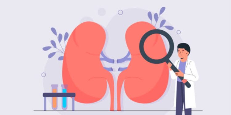 أعراض ضعف وظائف الكلى: إشارات تحذيرية لا تتجاهلها