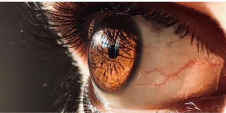 أفضل الطرق لحماية الشعر من أضرار مياه البحر خلال المصيف