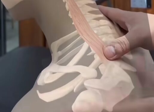 أفضل التمارين الطبية لعلاج آلام غضروف الرقبة