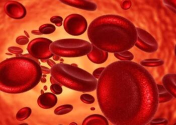 أفضل الأطعمة لعلاج نقص الحديد وتعزيز الصحة