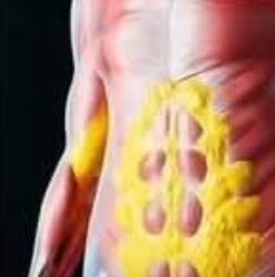 جهاز الاتصالات إيقاف الهواتف التي تجري المكالمات التسويقية الإزعاجية بداية من الأسبوع المقبل