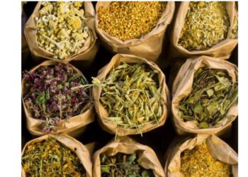 أفضل الأعشاب لعلاج قرحة المعدة بطرق طبيعية