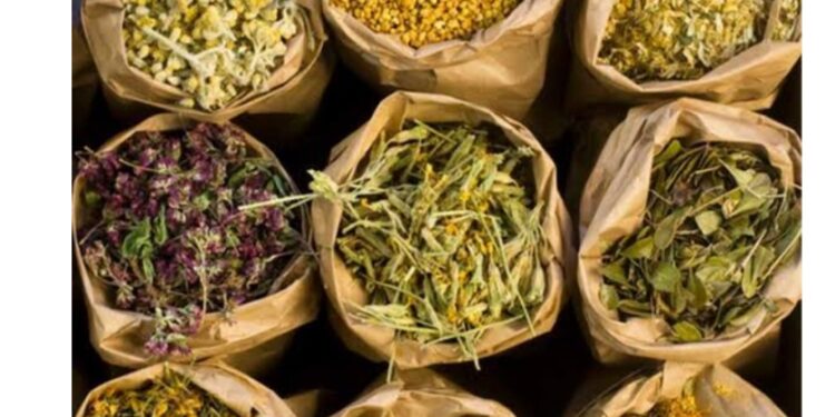 أفضل الأعشاب لعلاج قرحة المعدة بطرق طبيعية