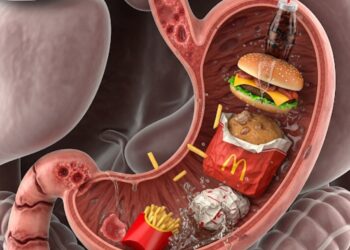 الوجبات السريعة: هل تدفع الثمن من صحة جهازك الهضمي؟