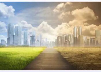 استراتيجيات فعالة لإنجاح الطروحات الحكومية في مصر