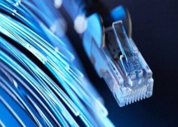 كيف تدعم سياسة البيانات المفتوحة تحول مصر إلى عصر الذكاء الاصطناعي؟