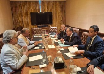 وزير الخارجية يؤكد أهمية التعاون بين شركة Ocior Energy الهندية للطاقة المتجددة وهيئة الطاقة الجديدة في مصر